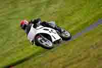 Advanced Group White Bikes